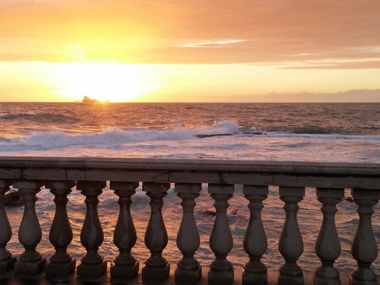 Livorno - promo discount for visitors and participants of Terrazza Mascagni