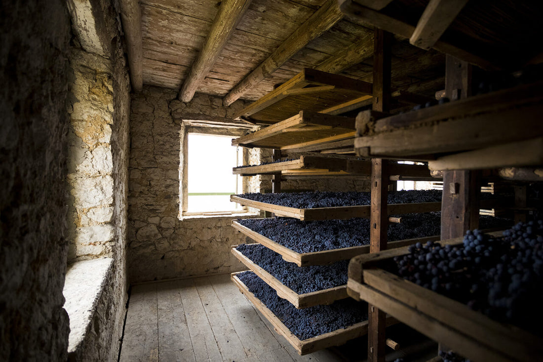 Verona Wines: Types, Pairings & Tips from Locals