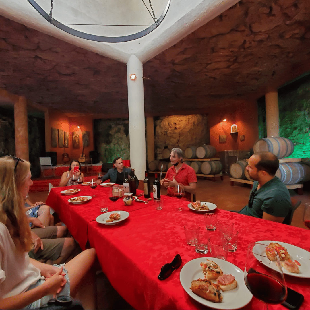 Vineyard Walk & Wine Tasting in the Berici Hills of Vicenza