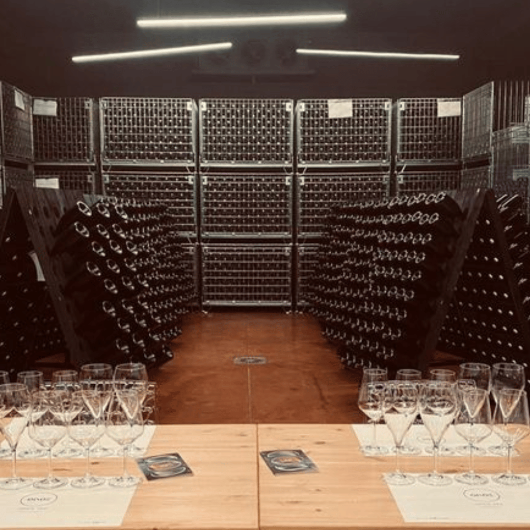 Visita alla Cantina sulle Colline di Parma e Degustazione di Vini con Piatto di Cibo