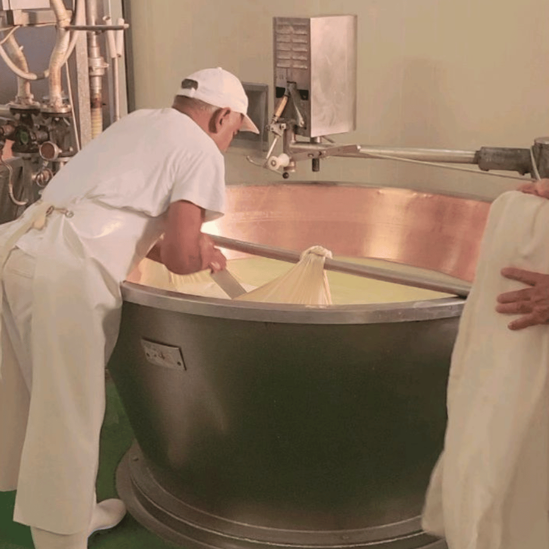 Parmesan Cheese Tour & Tasting near Modena