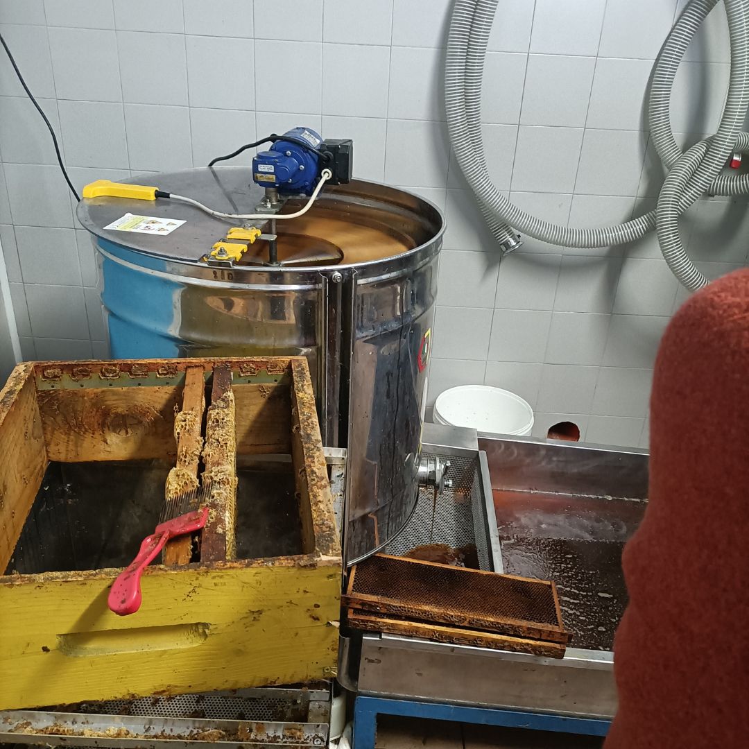 Honey and Mead Tasting Experience in Monferrato
