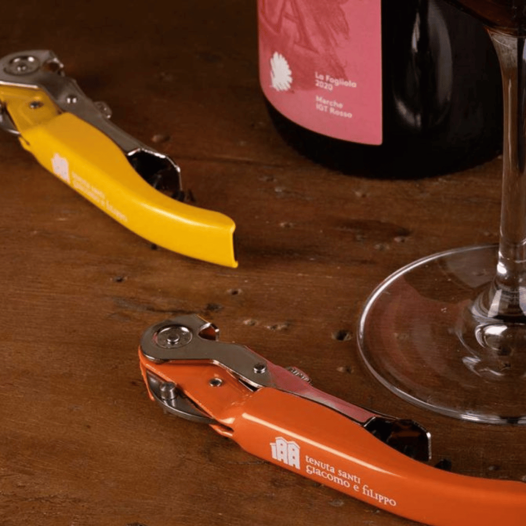 Boutique Winery Visit & 5 Organic Wine Tastings near Urbino