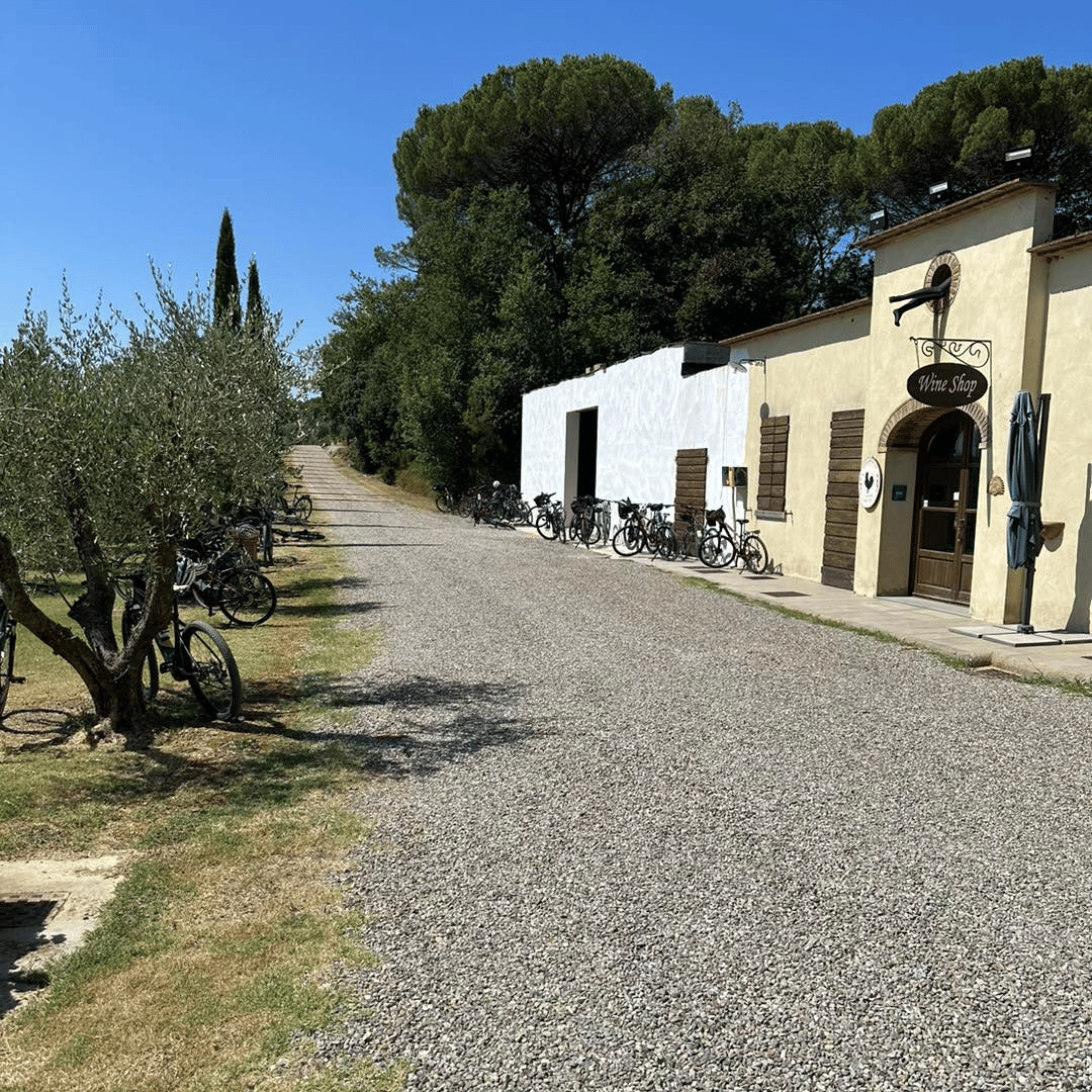 Visita a una Cantina Boutique e Degustazione di Vini vicino ad Arezzo