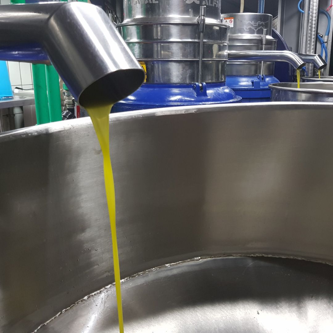 Olive Oil Mill Tour with Tasting and Gift near Bari
