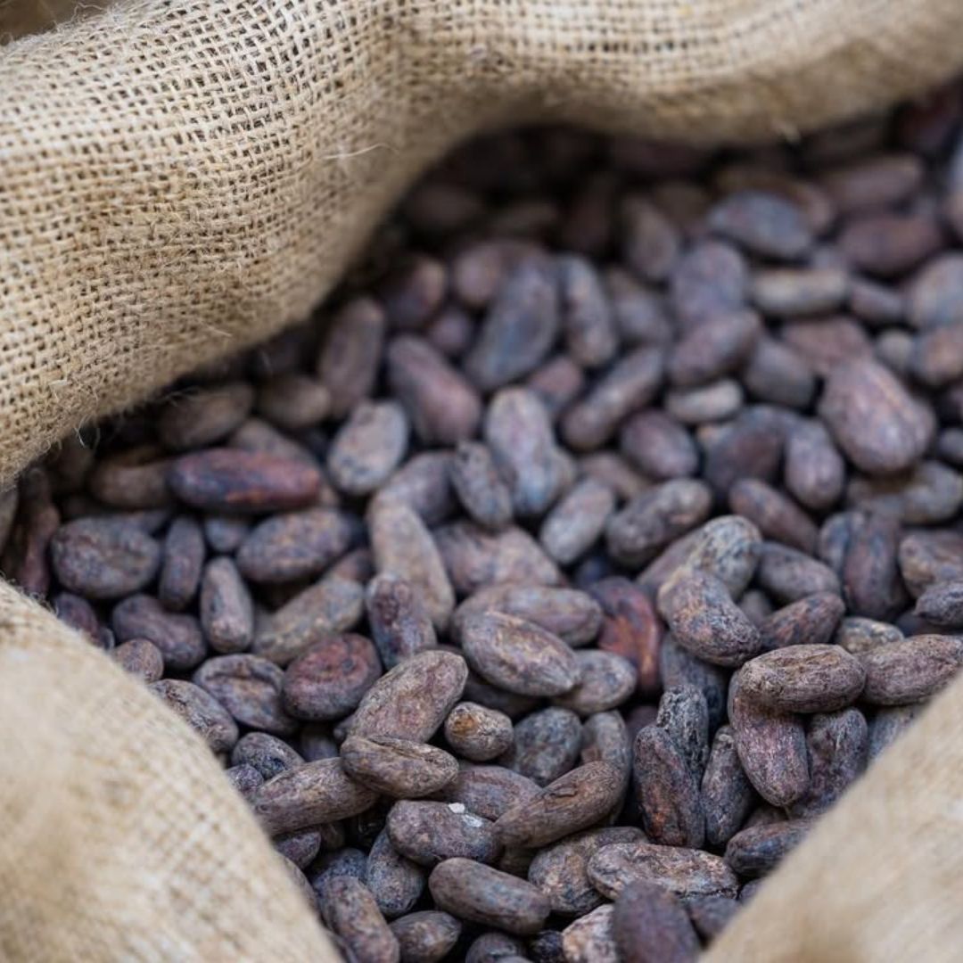 Chocolate Factory Guided Tour with Tasting near Lucca
