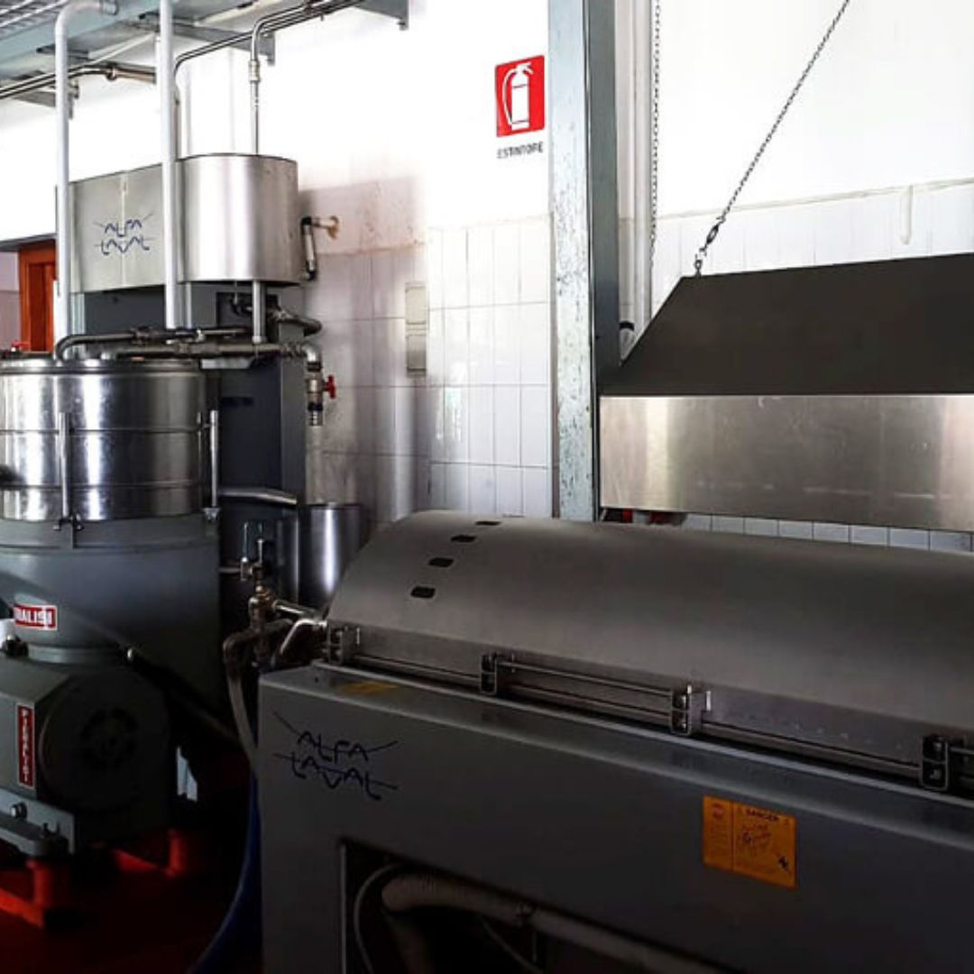Olive Mill Visit & Guided Tasting in Taggia