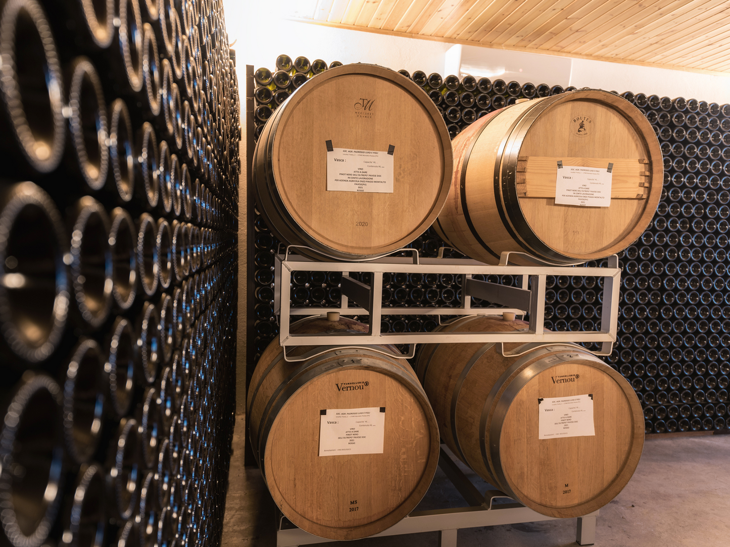 Organic Winery Visit & Wine Tasting with Food in Pavia