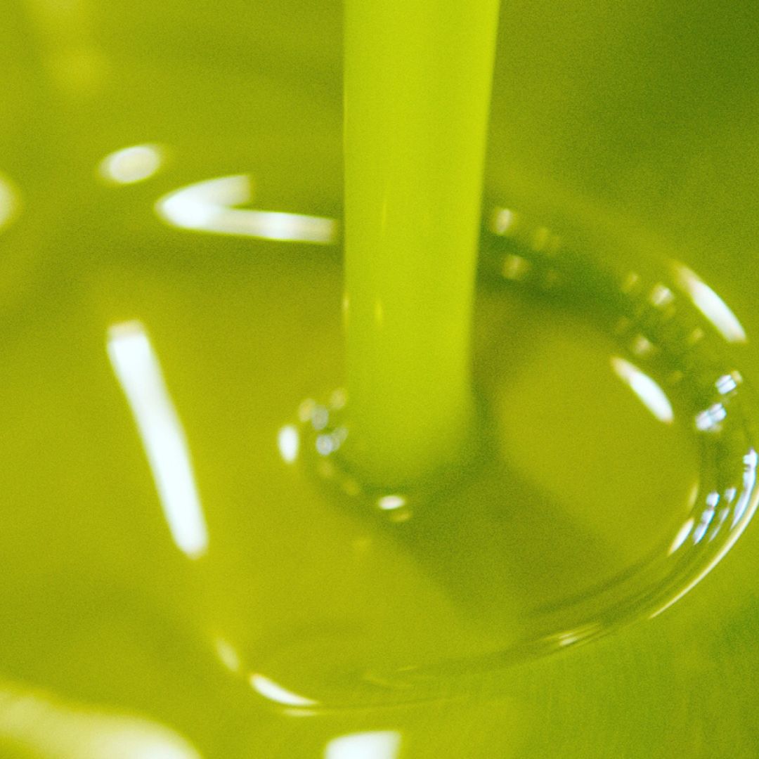 Olive Oil Mill Tour with Tasting near Bari