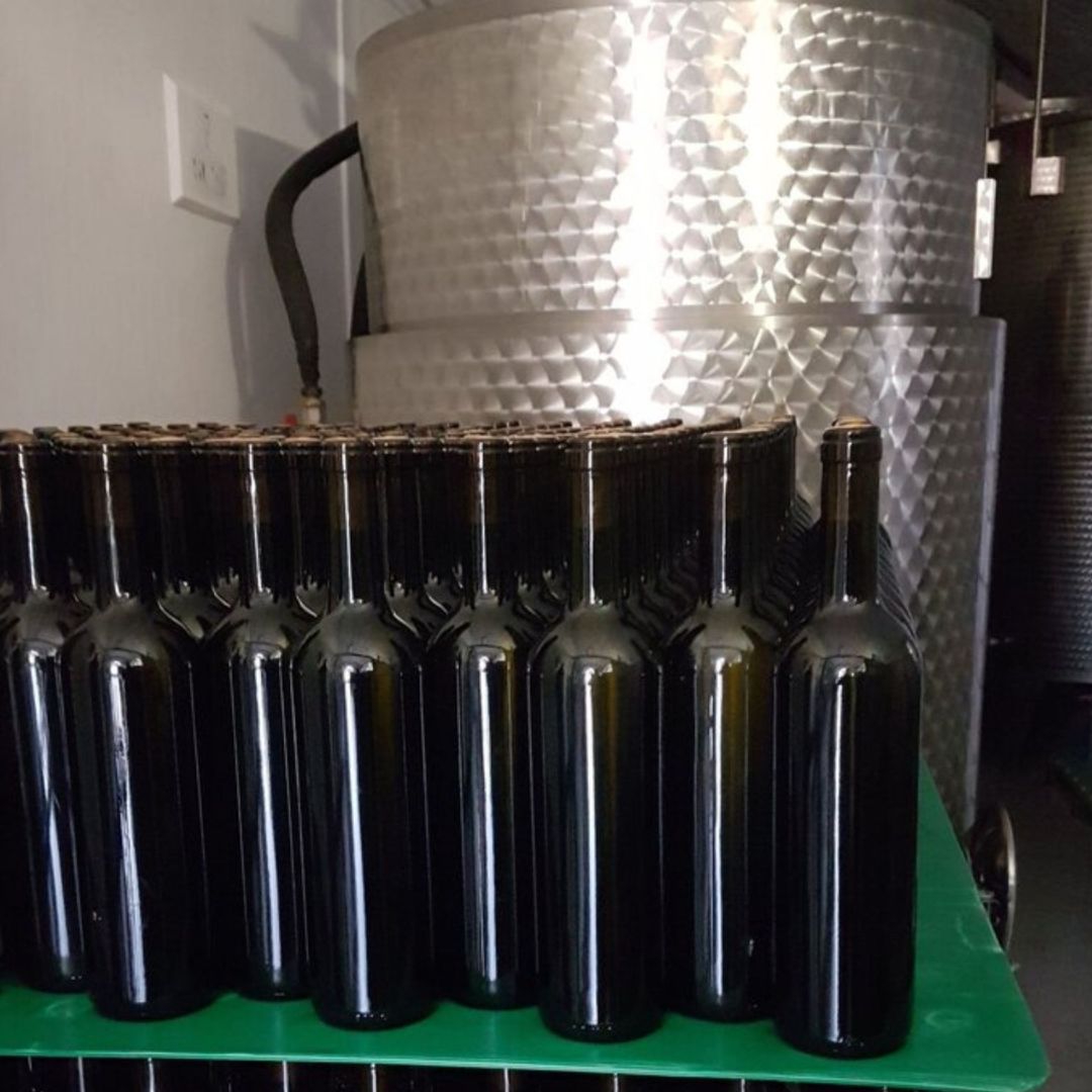 Degustazione di vini e visita ad un borgo medievale dei Castelli Romani