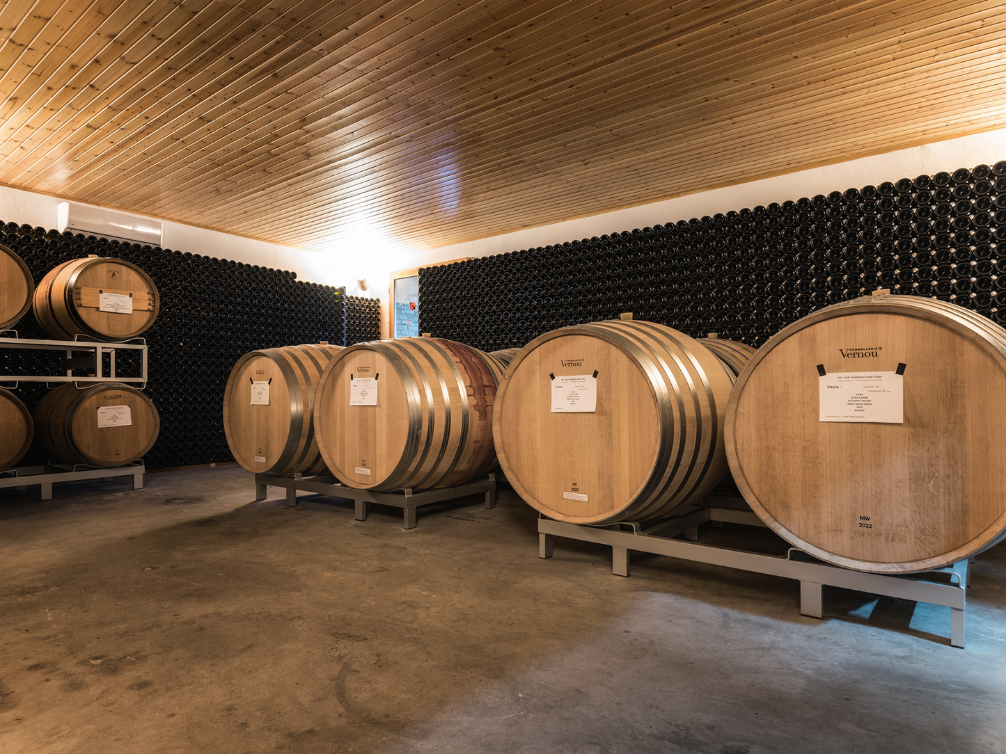Organic Winery Visit & Wine Tasting with Food in Pavia