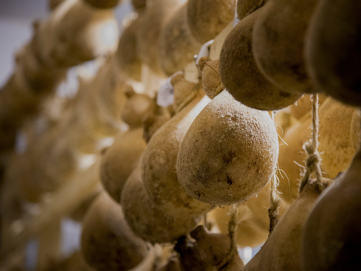 Traditional Cheese Factory Visit with Tasting in Isernia Countryside