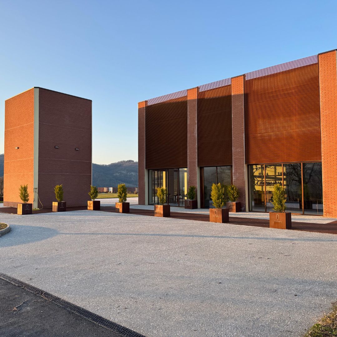Organic Winery Visit with Wine & Food Tasting near Bologna