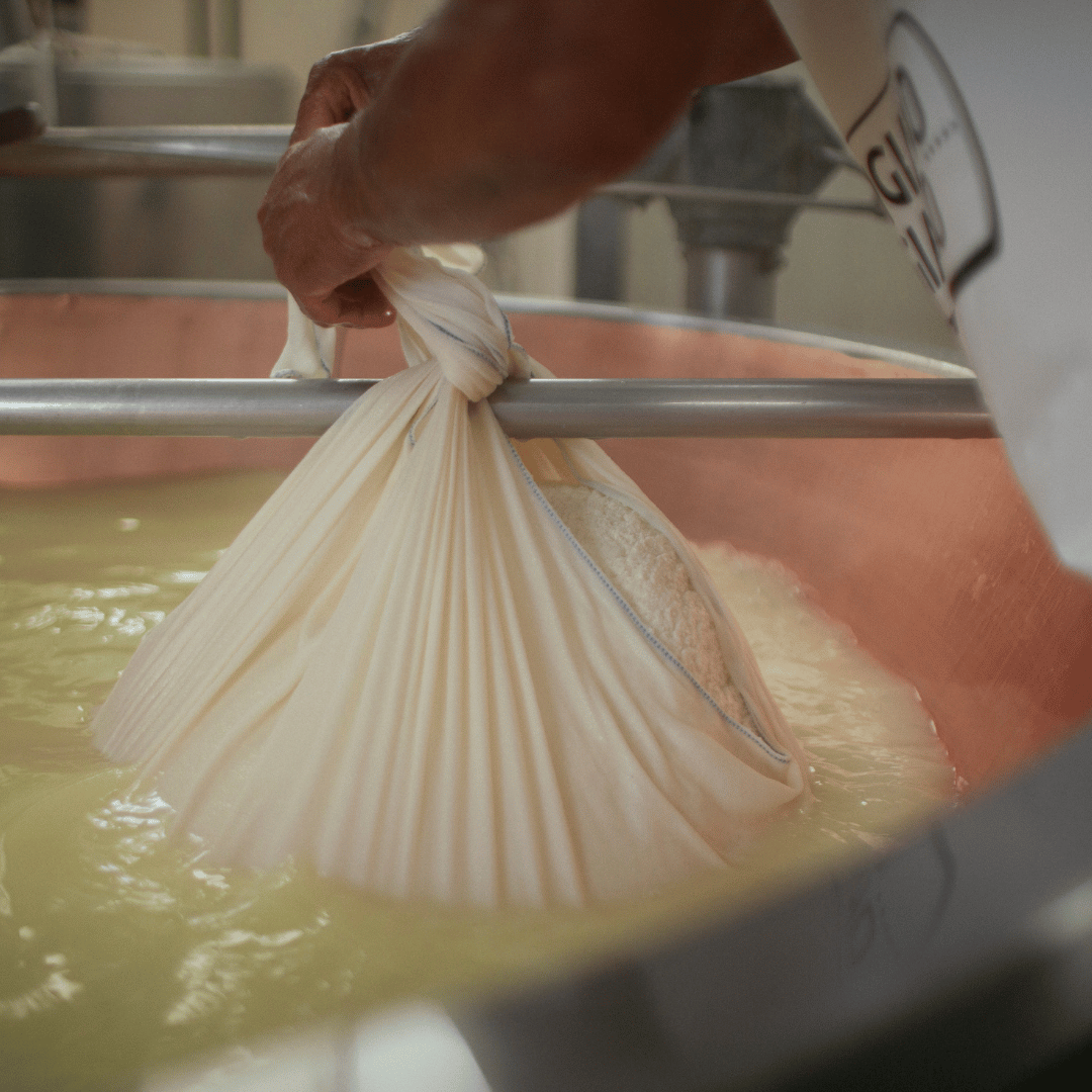 Parmesan Cheese Tour & Tasting near Modena