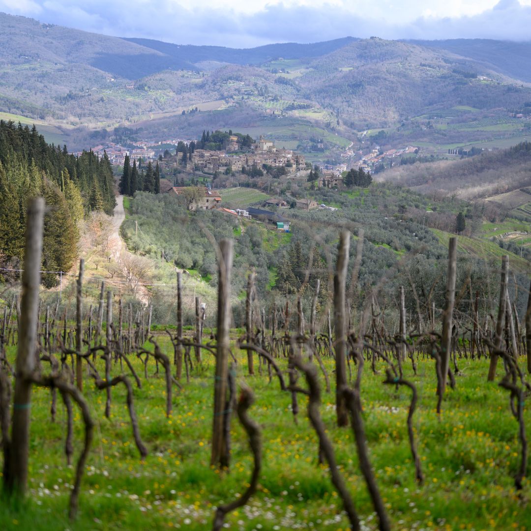 Chianti Winery Tour with Wine & Food Tasting near Florence