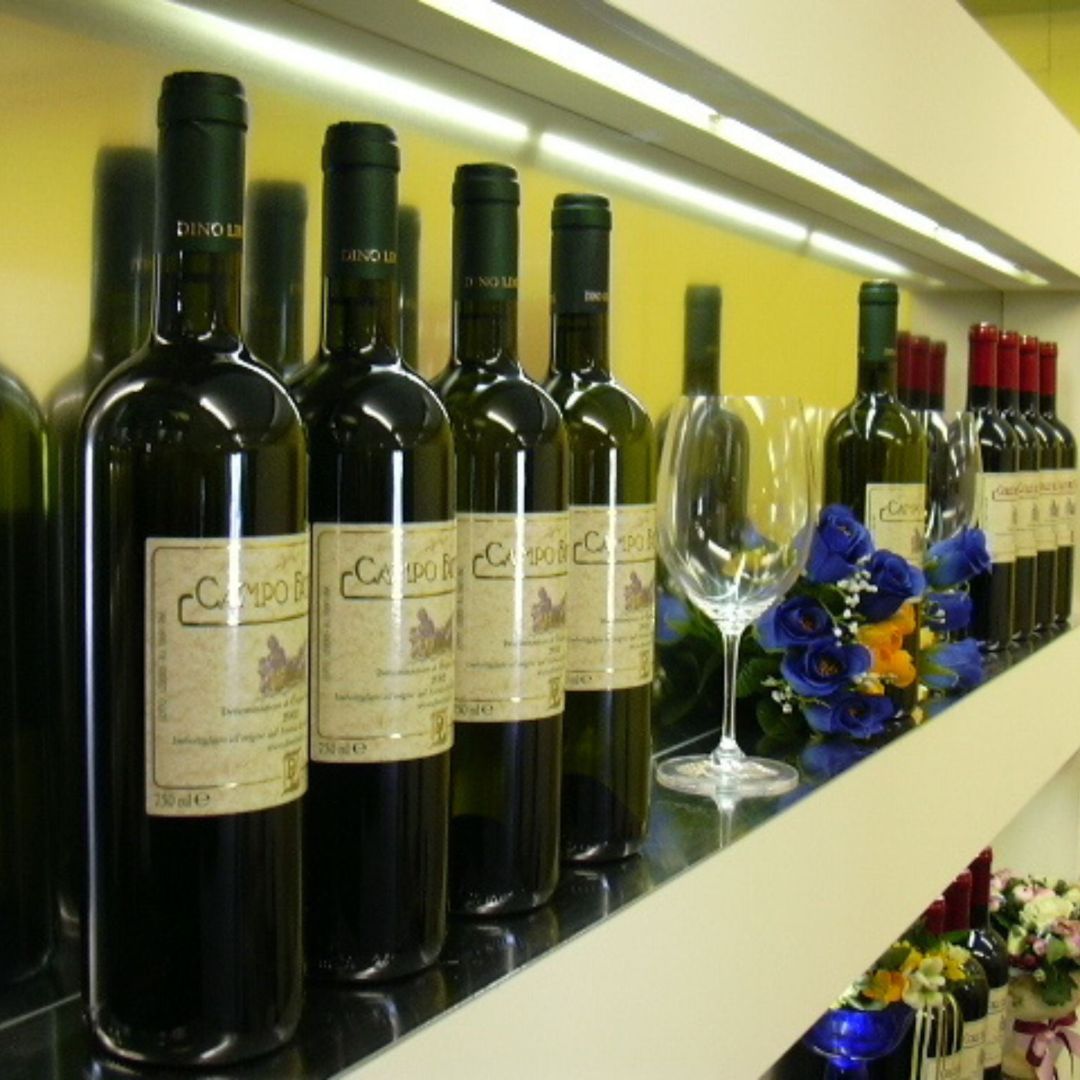 Degustazione di vini e visita ad un borgo medievale dei Castelli Romani