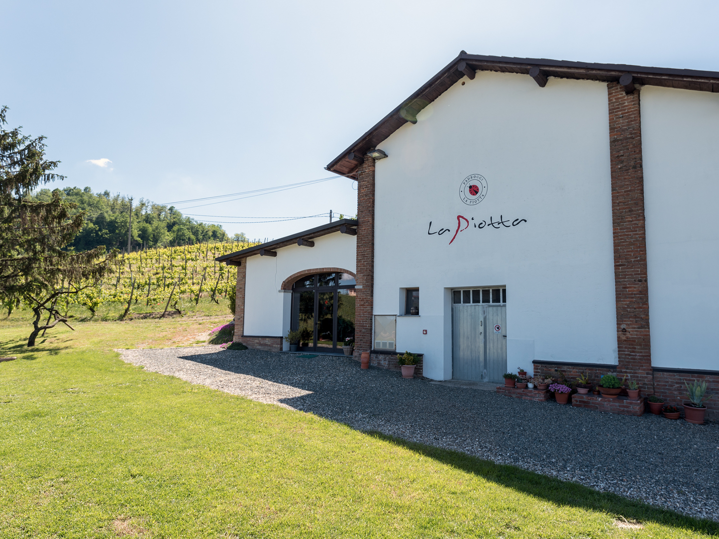 Organic Winery Visit & Wine Tasting with Food in Pavia