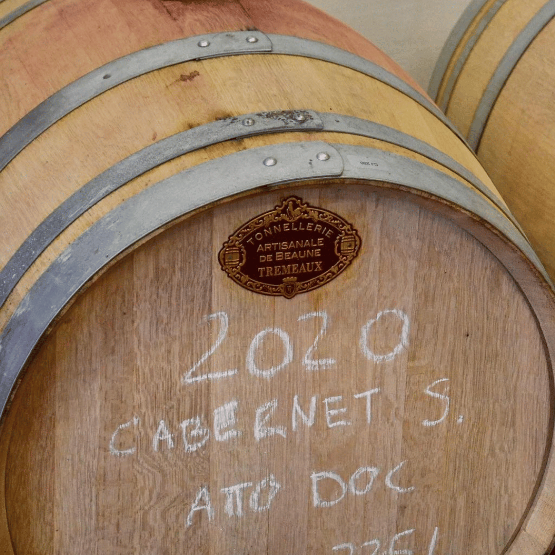 Bologna: tour della cantina boutique con degustazione di vini e piatto gastronomico