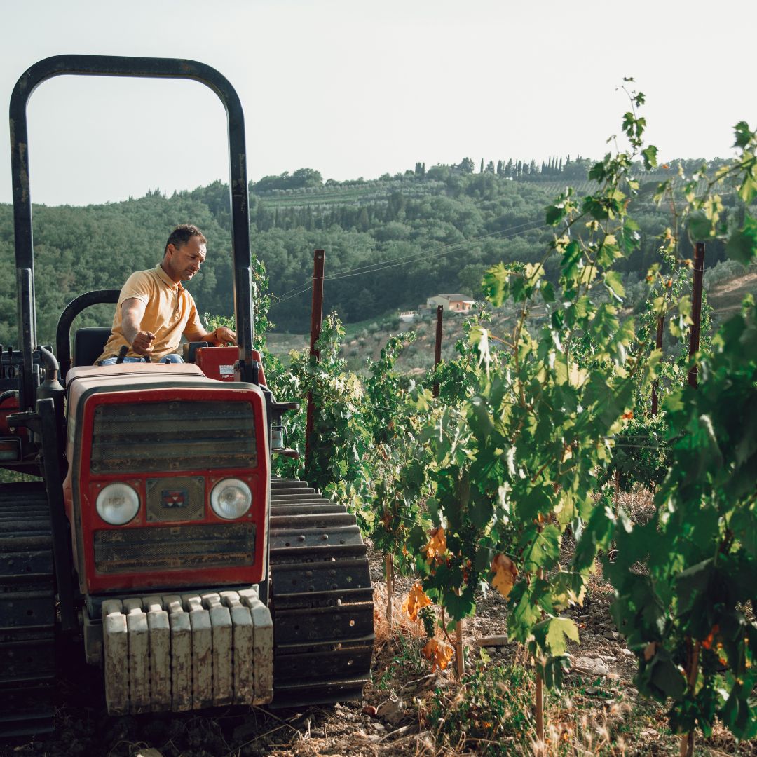 Chianti Winery Tour with Wine & Food Tasting near Florence
