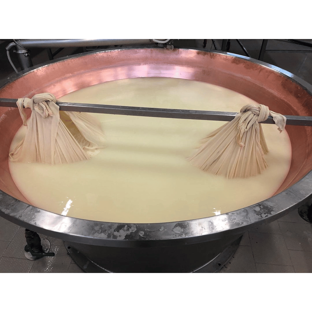 Fabbrica di Parmigiano Reggiano vicino a Modena: Degustazione e Tour