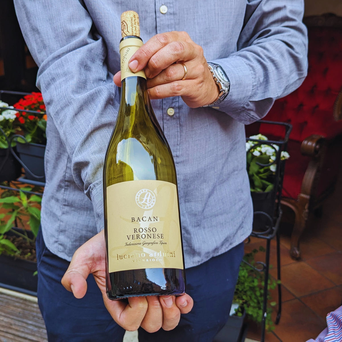 Local Wine Tasting Experience in Verona City Center