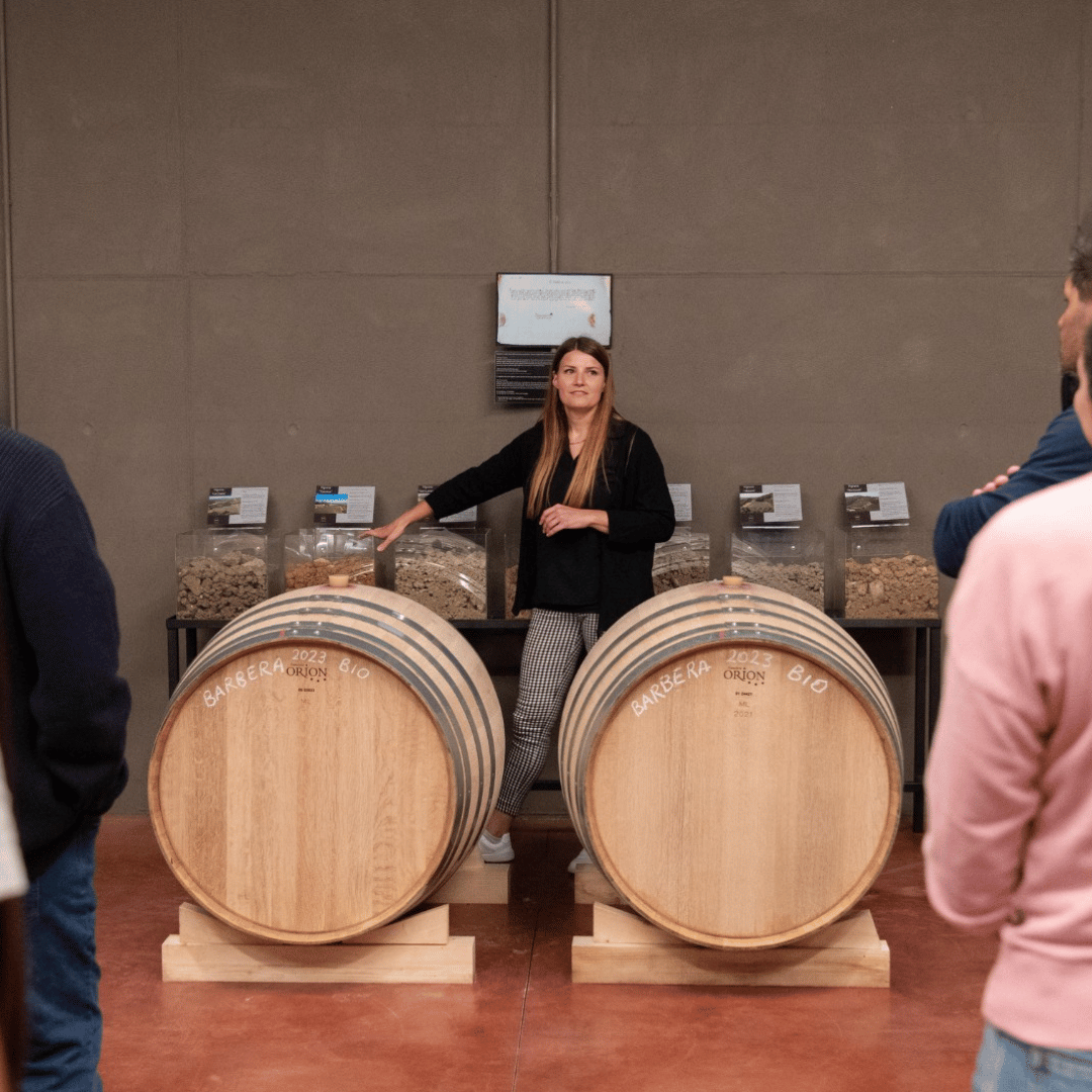 Visita alla Cantina sulle Colline di Parma e Degustazione di Vini con Piatto di Cibo