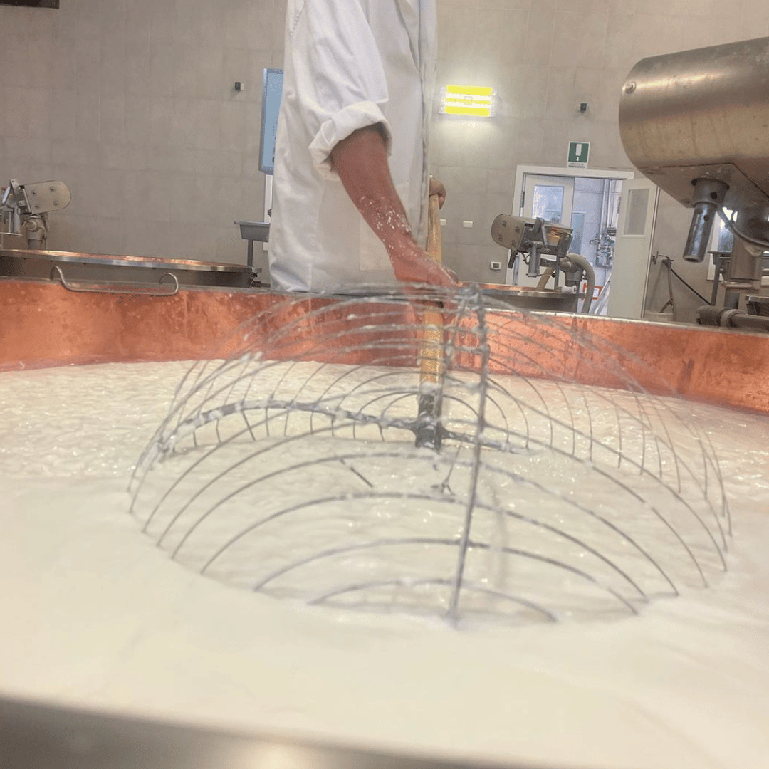 Fabbrica di Parmigiano Reggiano vicino a Modena: Degustazione e Tour