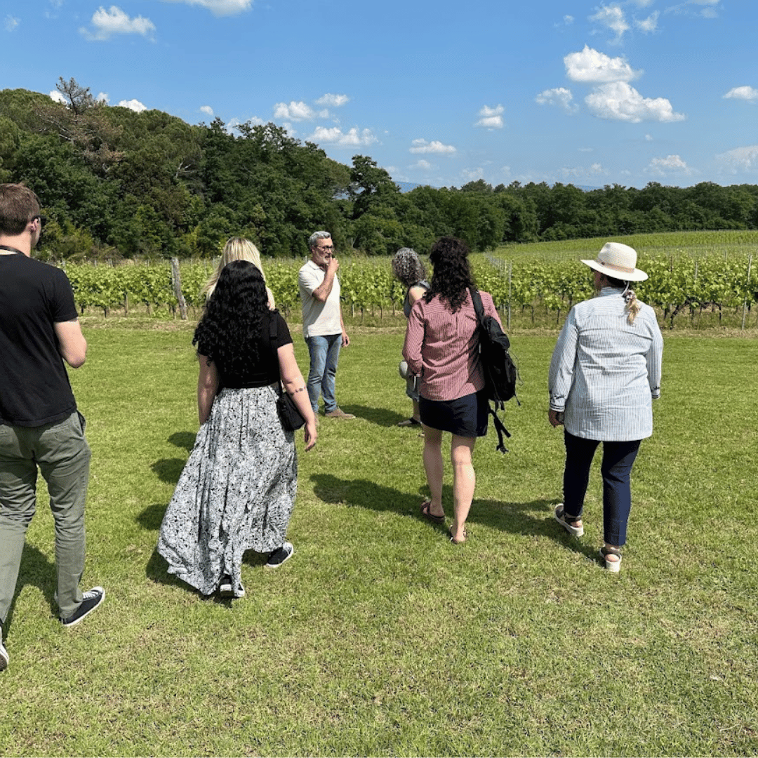 Visita a una Cantina Boutique e Degustazione di Vini vicino ad Arezzo