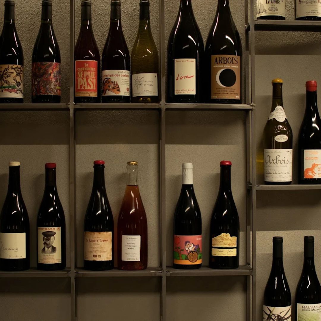 Wine Tasting with Local Bites in Pisa