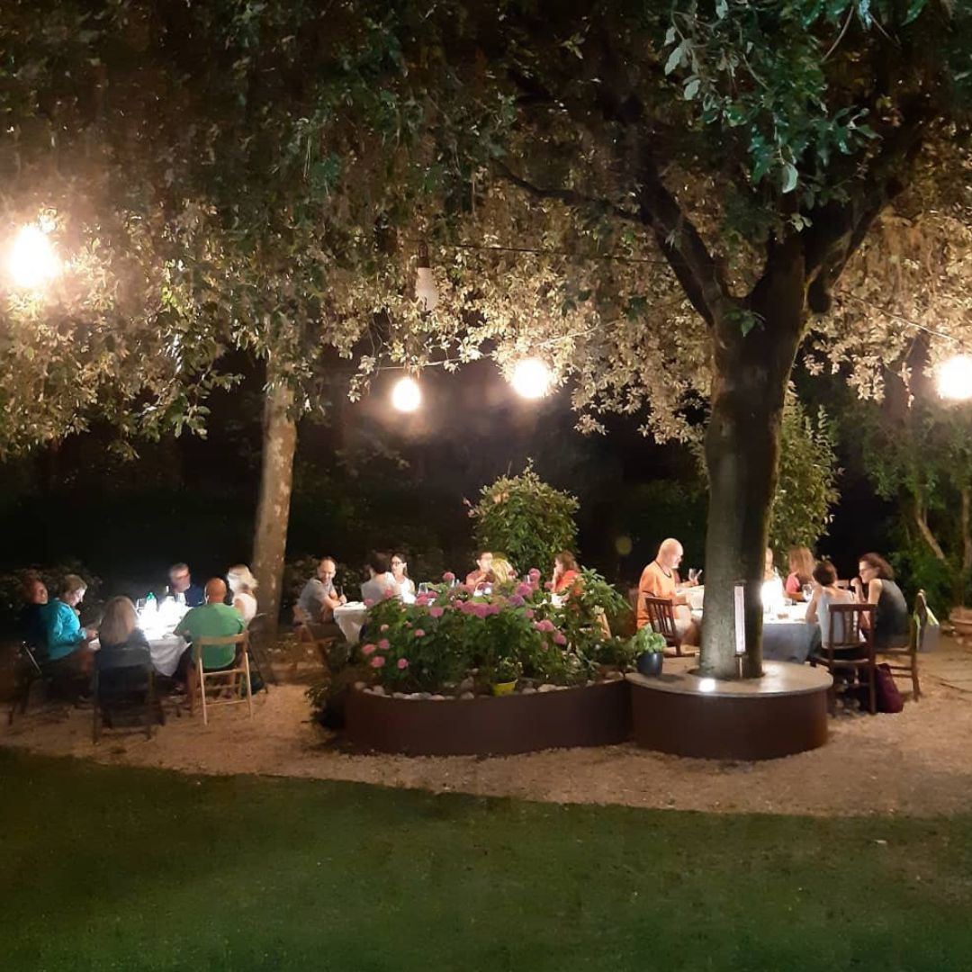 Organic Winery Visit with Wine & Food Tasting near Bologna