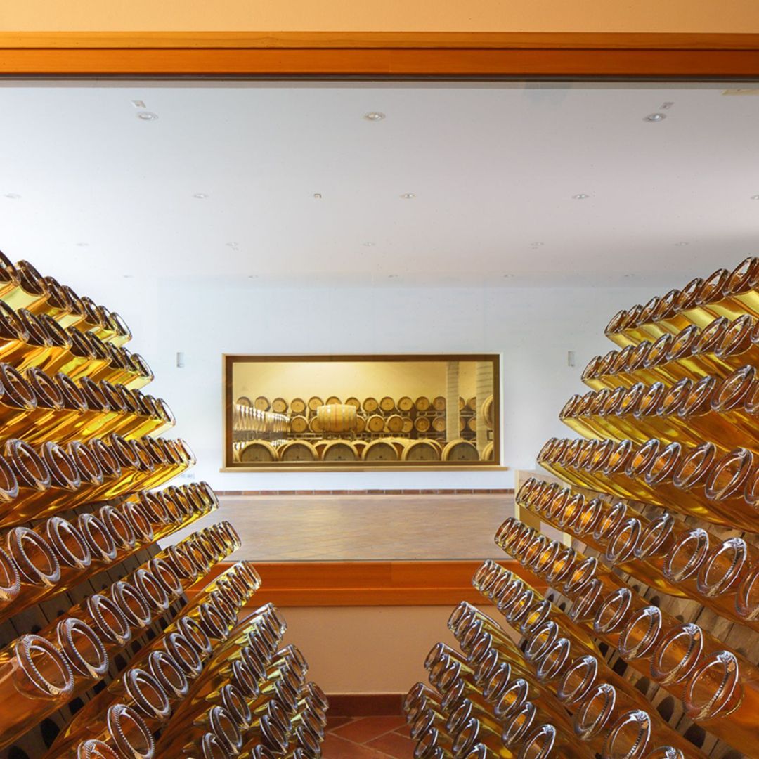 Degustazione di Prosecco in una cantina con abbinamento di cibo vicino a Venezia