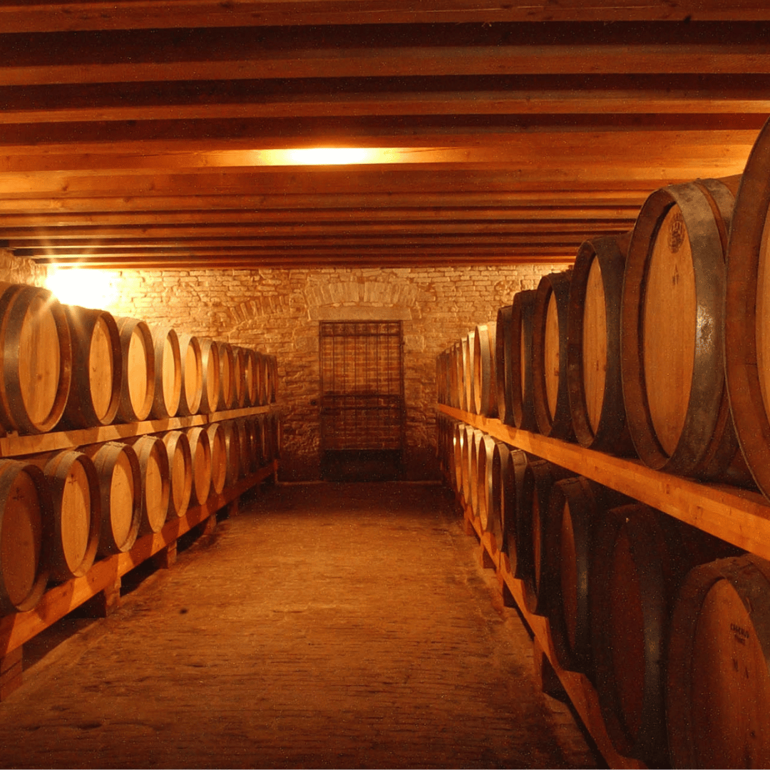 Weinprobe und Tour in den Hügeln von Padua