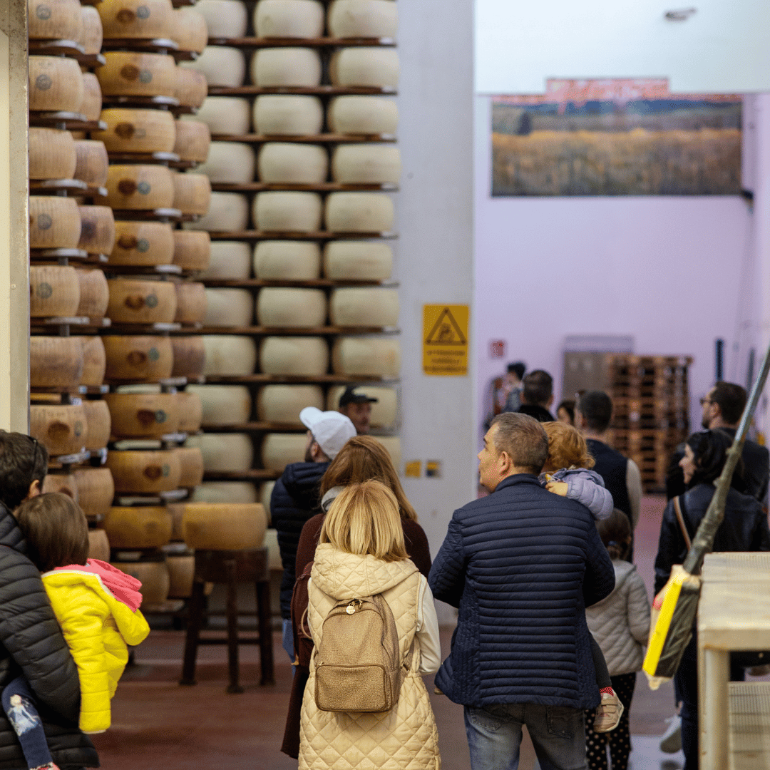 Fabbrica di Parmigiano Reggiano vicino a Modena: Degustazione e Tour