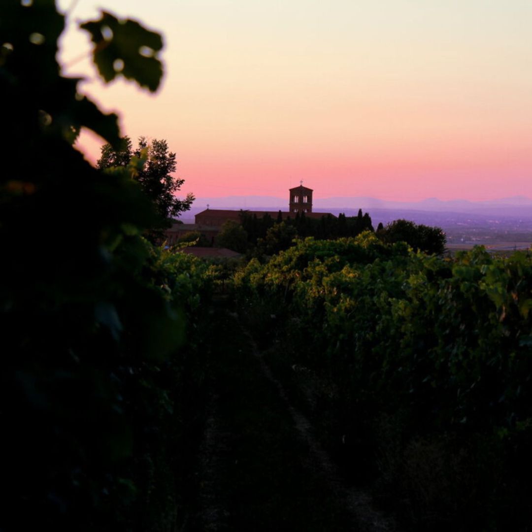 Degustazione di vini e visita ad un borgo medievale dei Castelli Romani