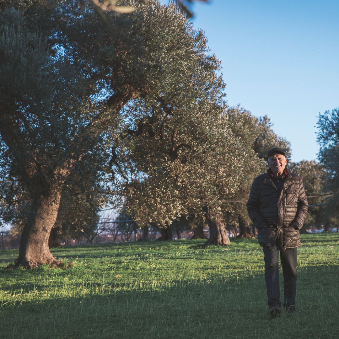 Olive Oil Mill Tour with Tasting and Gift near Bari