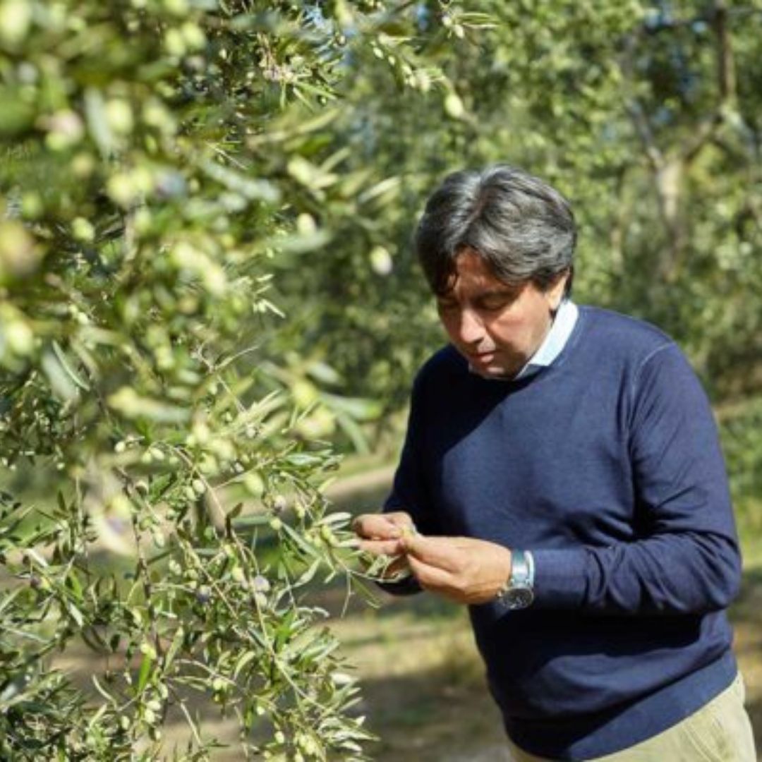 Olive Oil Mill Tour with Tasting near Bari
