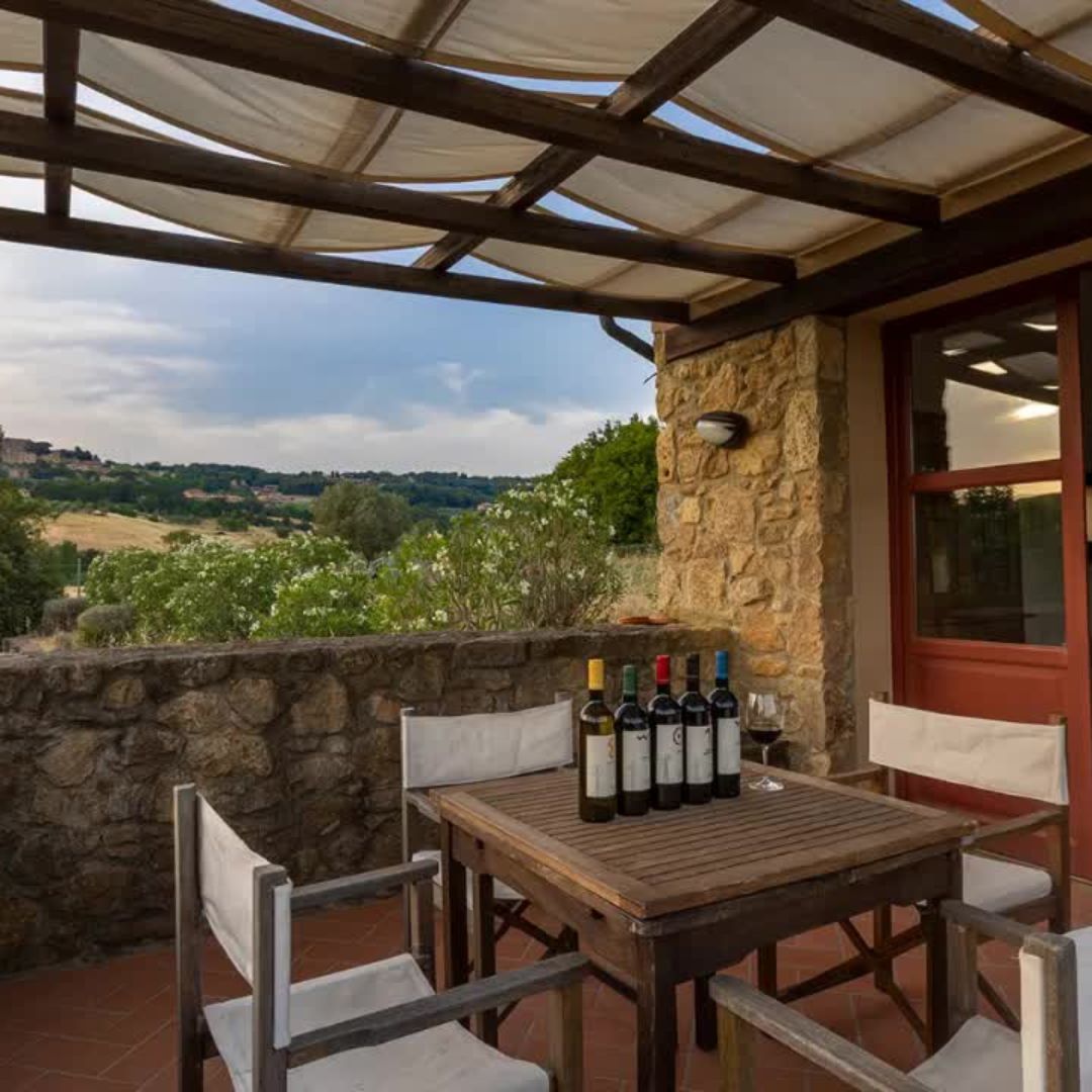 Tour della Cantina e Degustazione di Vini con Cibo vicino a Livorno e Pisa