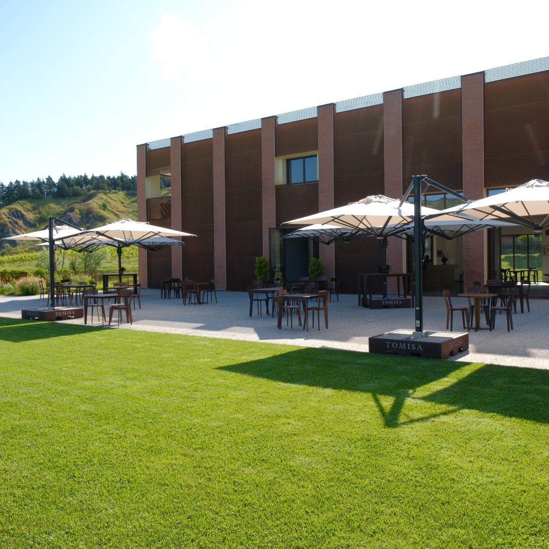 Organic Winery Visit with Wine & Food Tasting near Bologna
