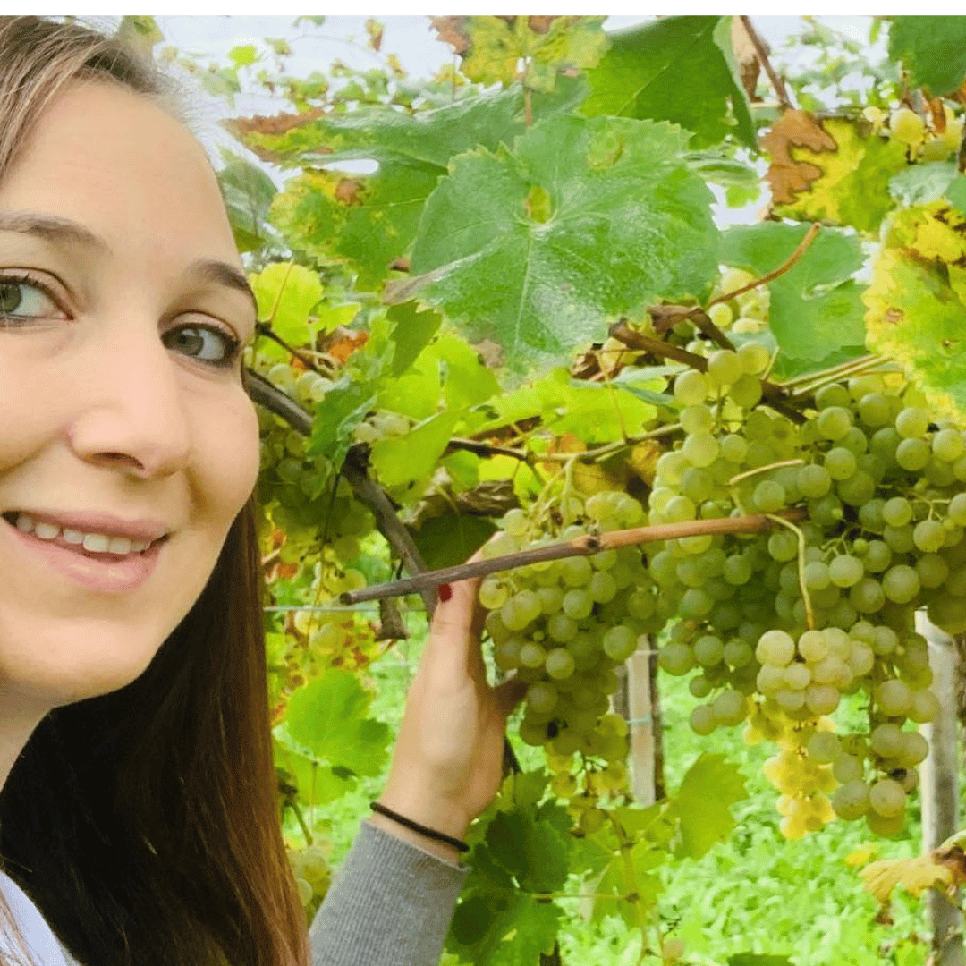 Prosecco-Verkostung in einem Weingut auf dem Land