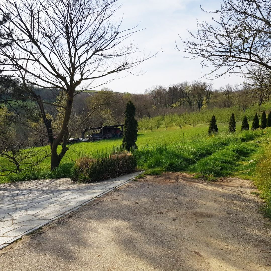 Tour di Apicoltura e Degustazione di Miele nel Monferrato