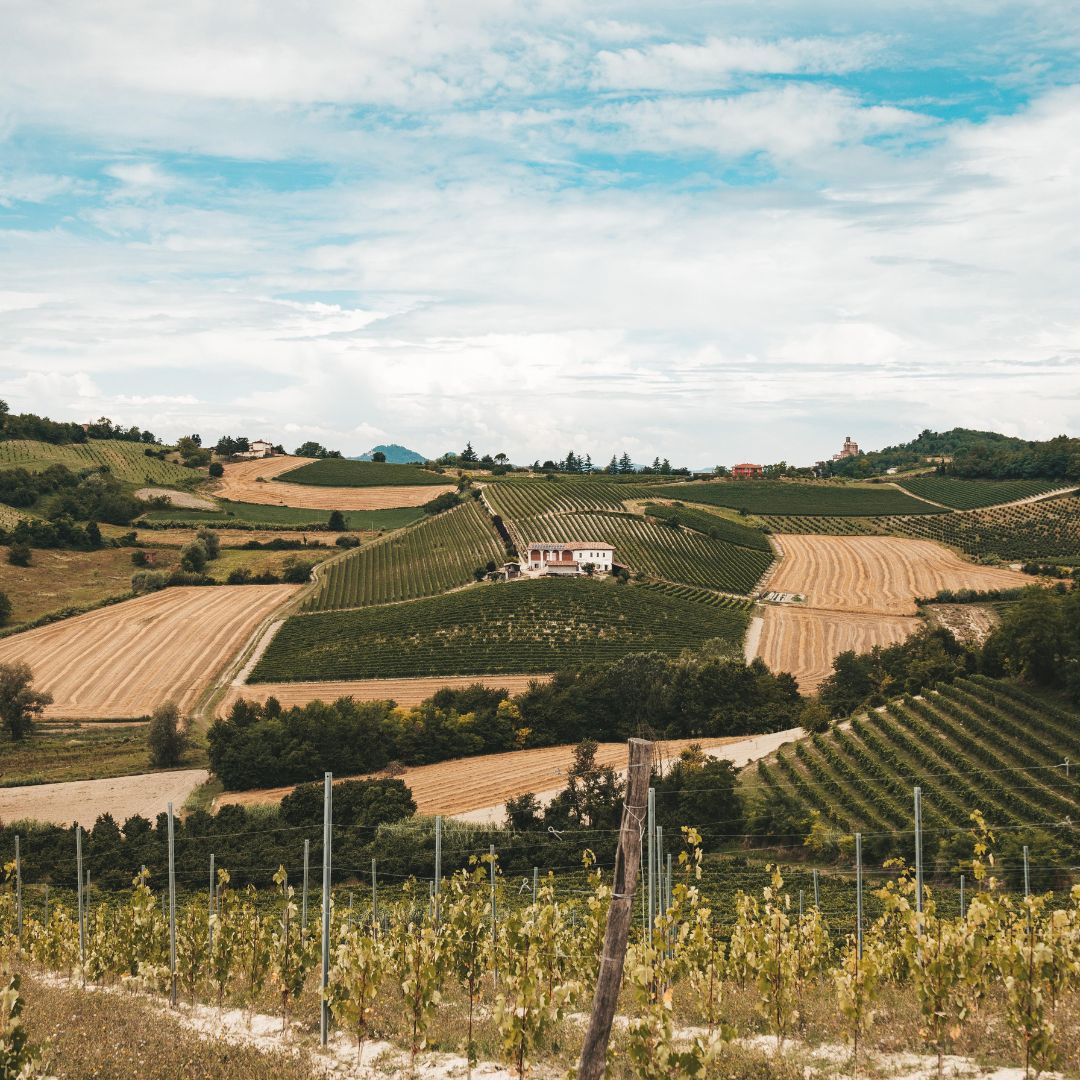 Underground Cave Visit with Food & Wine Tasting near Asti