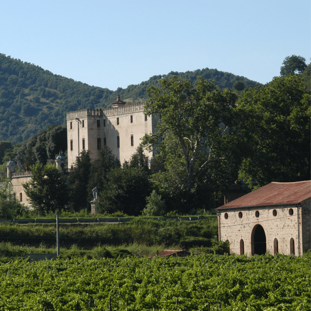 Weinprobe und Tour in den Hügeln von Padua