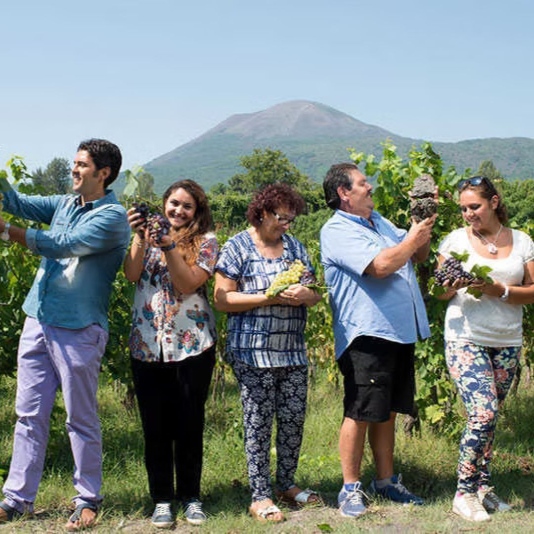 Winery Tour with Organic Wine Tasting & Lunch near Pompeii