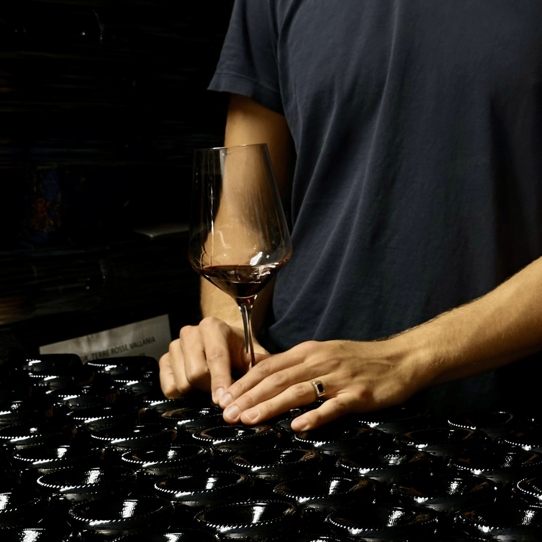 Bologna: tour della cantina boutique con degustazione di vini e piatto gastronomico