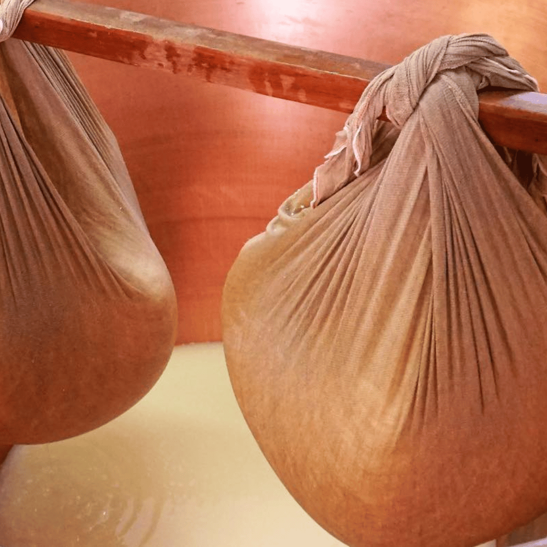 Parmesan Wheels near Parma: Tasting & Factory Tour