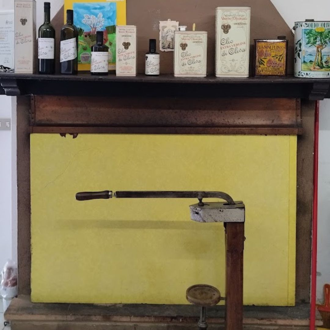 Degustazione di olio d'oliva con passeggiata facoltativa in uliveto sul Lago di Como
