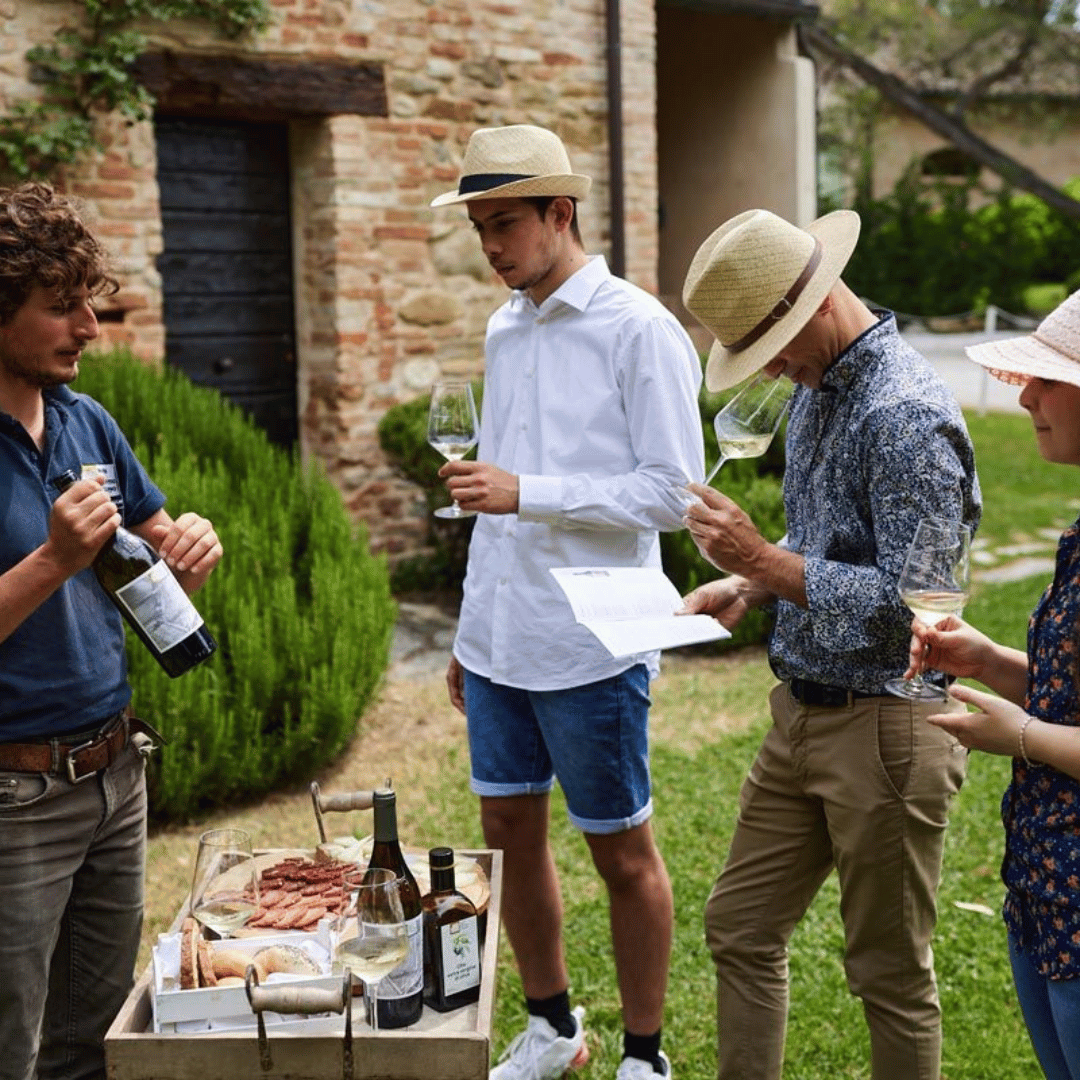 Boutique Winery Visit & 5 Organic Wine Tastings near Urbino