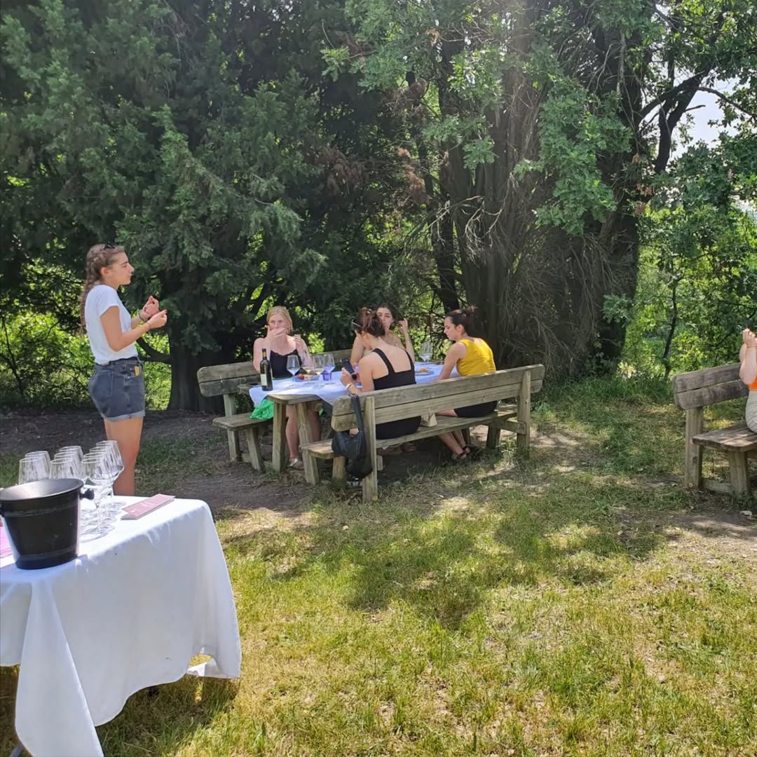 Organic Winery Visit with Wine & Food Tasting near Bologna