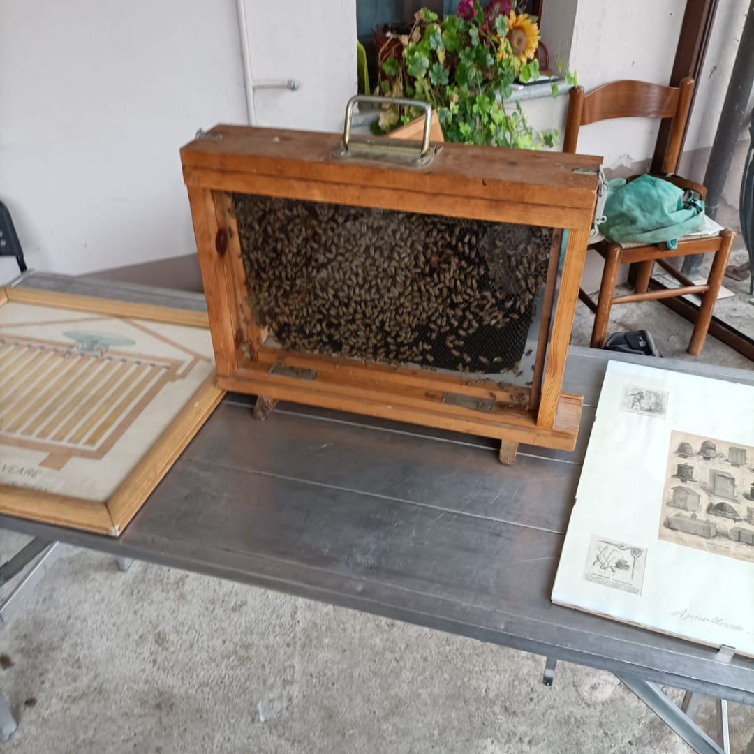 Honey and Mead Tasting Experience in Monferrato