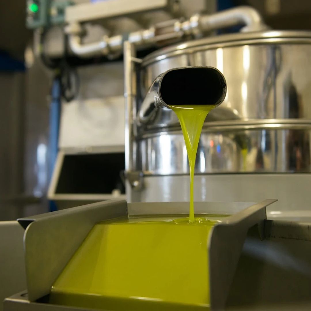 Olive Oil Mill Tour with Tasting near Bari